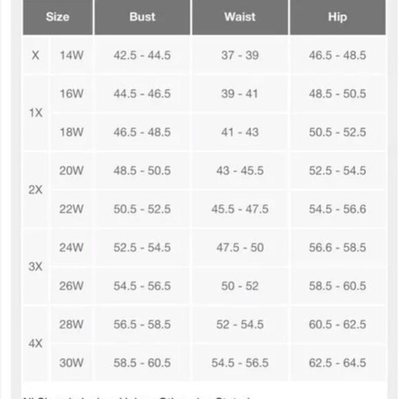 NWOT Ava & Viv Blue & Gray Balloon Sleeve Cinched Swirl Print Mesh Maxi Dress - Picture 6 of 6